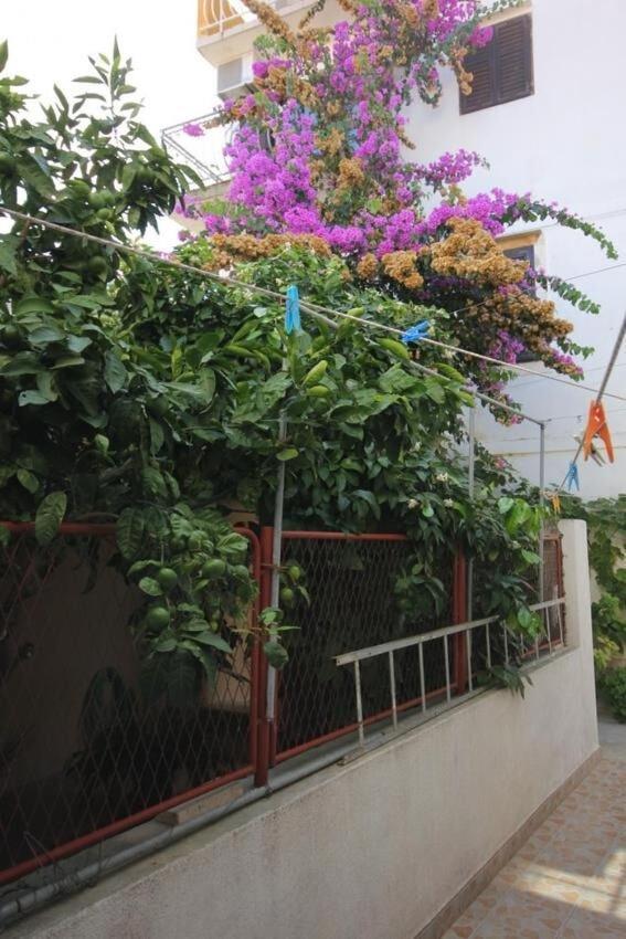 Apartments Zoki - Great Location Close To The Sea Vis Luaran gambar